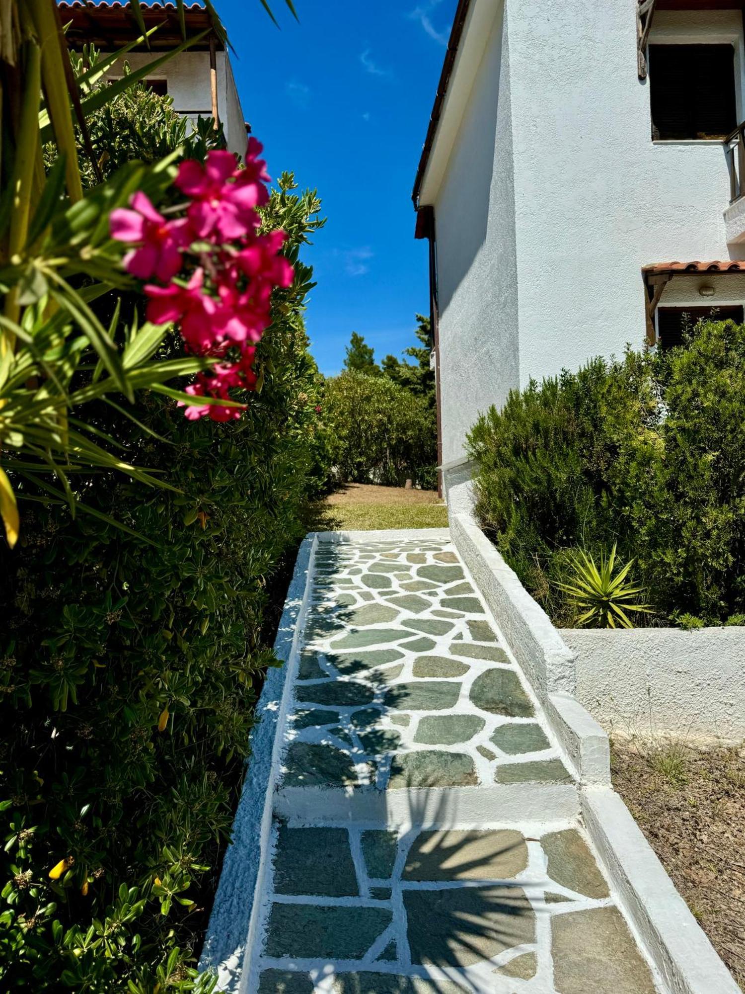 Summer Luxury Villa With Sea View Metamorfosi  Exterior foto