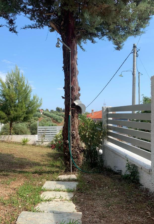 Summer Luxury Villa With Sea View Metamorfosi  Exterior foto
